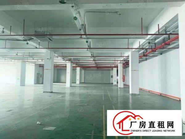  沙井西环路沙三工业区新出独门独院6600平方厂房出租