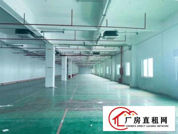  沙井西环路沙三工业区新出独门独院6600平方厂房出租