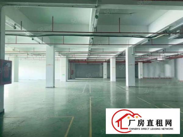  沙井西环路沙三工业区新出独门独院6600平方厂房出租