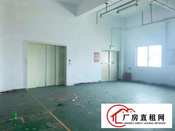  沙井西环路沙三工业区新出独门独院6600平方厂房出租