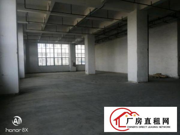  光明原房东红本厂房11000平米独门独院招租