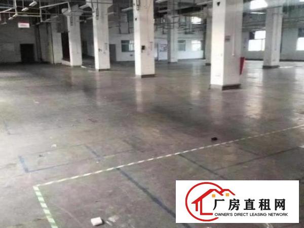  公明下村独门独院四层重工业厂房招租