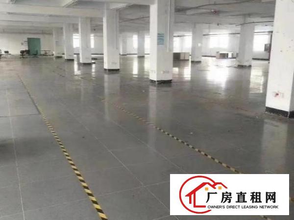  公明下村独门独院四层重工业厂房招租