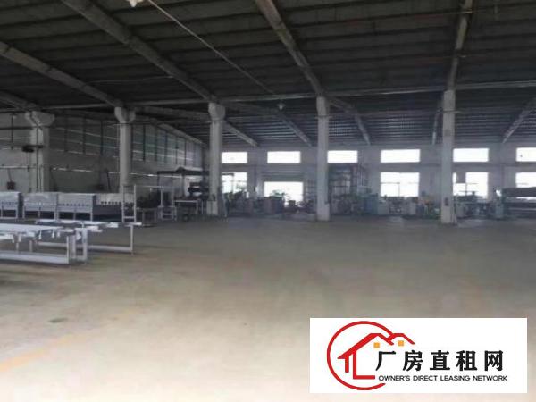  公明原房东独院钢构厂房出租12000平方米