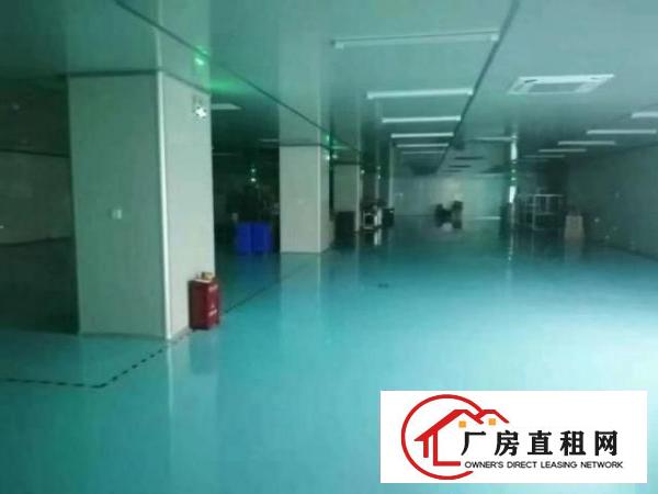  公明北环路旁无尘车间厂房出租3600平方米