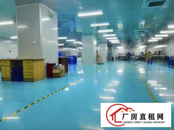  公明北环路旁无尘车间厂房出租3600平方米