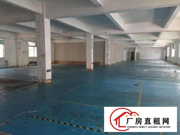  出租正规厂房光明区公明长圳
