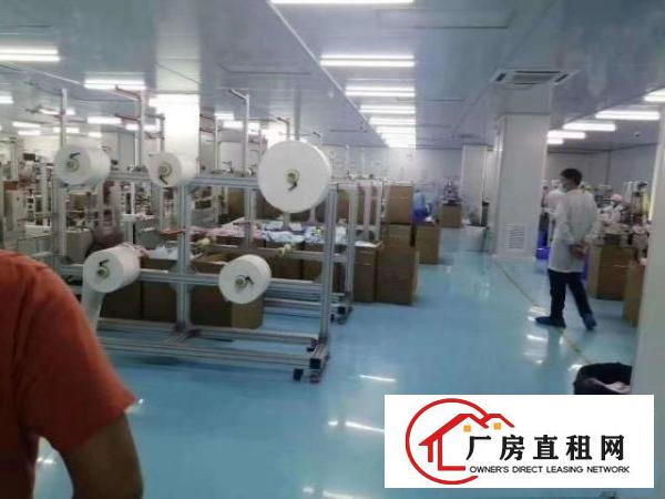  公明万级无尘车间出租