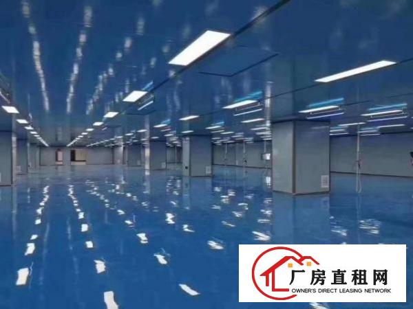  光明新区公明街道新出无尘车间