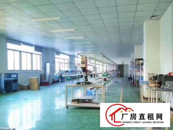  公明上村新房源！原房东出租二楼350平厂房，带电梯