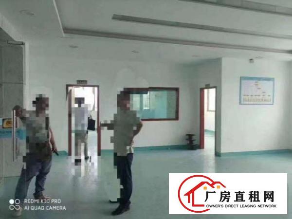  玉律靓盘，原房东无公摊，价格便宜！！