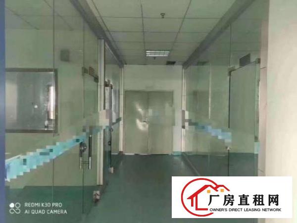  玉律靓盘，原房东无公摊，价格便宜！！