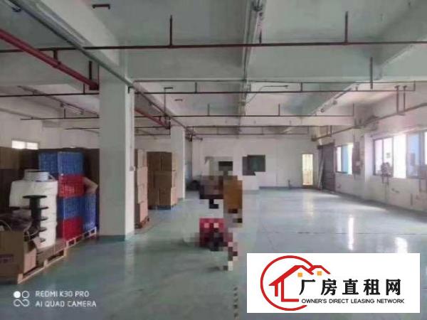  玉律靓盘，原房东无公摊，价格便宜！！