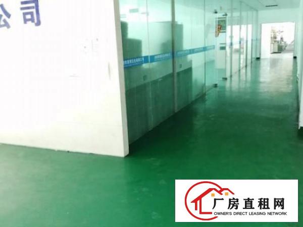  全新厂房，空地超大，便宜出租，