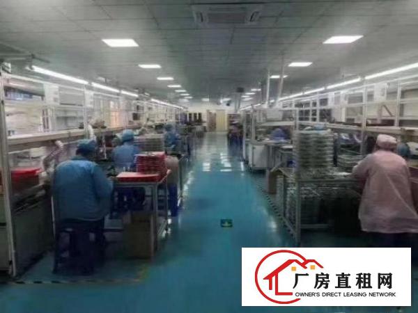  无尘车间厂房，转让合同和物业签