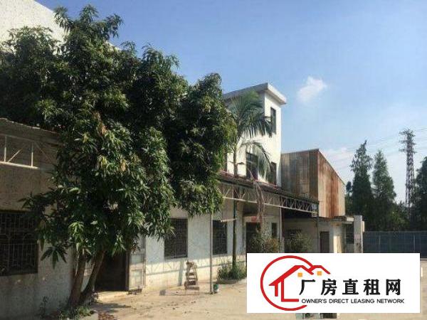  公明西田1000平钢构厂房高8米交能便利