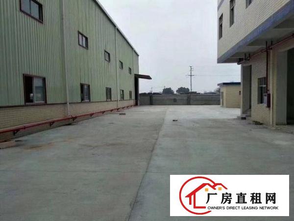  公明楼村900平方钢构厂房出租