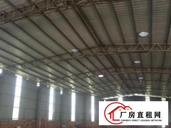  公明楼村原房东独院500平单层钢构厂房出租，水电齐全