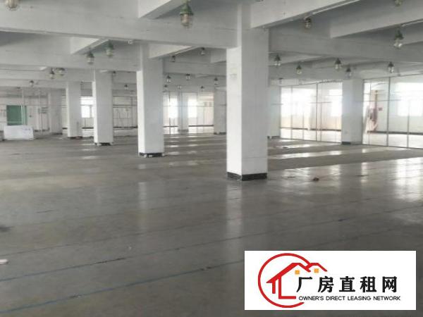  公明新空出一楼9800平厂房，可分租位置好