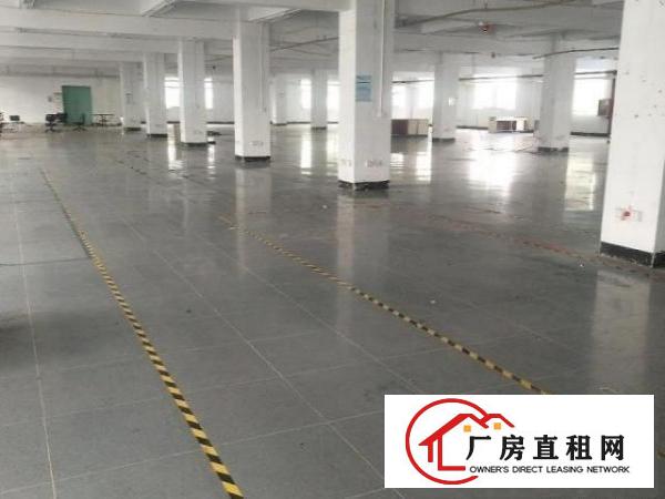  公明新空出一楼9800平厂房，可分租位置好