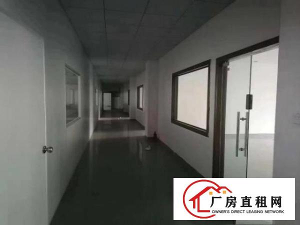  公明楼村新出原房东3楼带装修厂房1500平米招租，