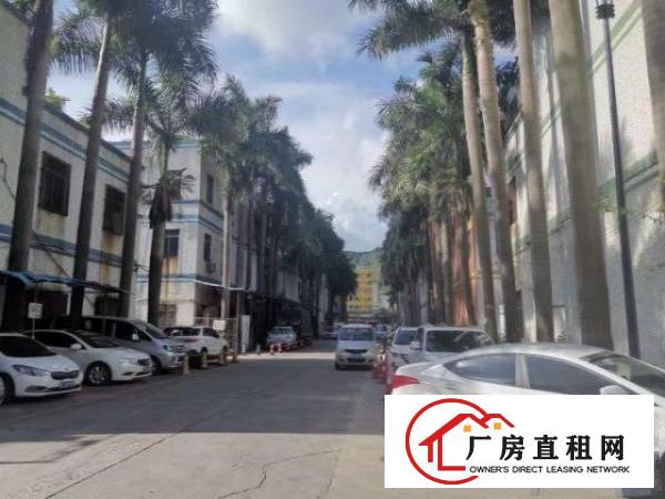  厂房出租光明区公明长圳路