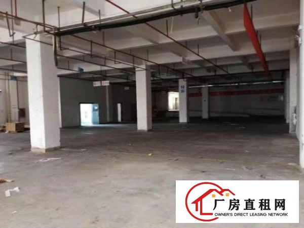  公明西田一楼厂房520平，实际面积，带行车，设施完善