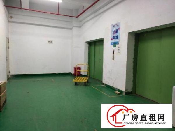 南光高速口楼上精装修1800平