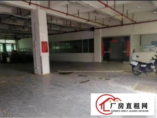  公明上村一楼380平方厂房出租，带消防喷淋，适合各种行业