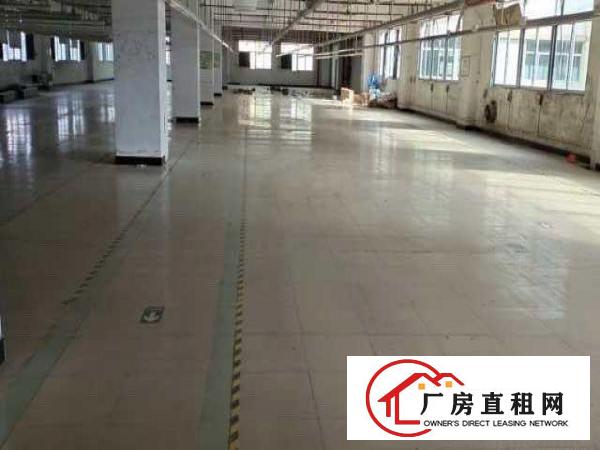  出租精装修厂房带精装修办公室