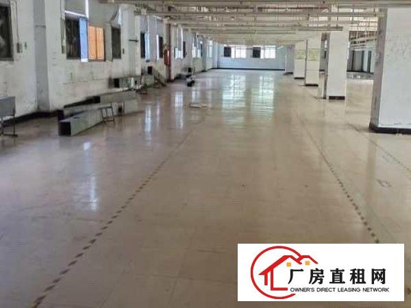  出租精装修厂房带精装修办公室