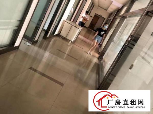  出租精装修厂房带精装修办公室