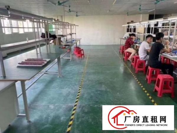  公明长圳楼上1000平米带精装修厂房出租，无转让费布局合理！