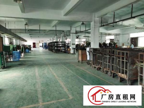  公明原房东1600平厂房出租