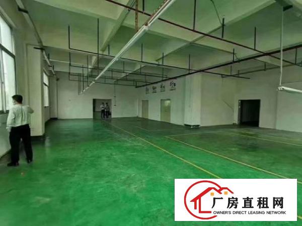  公明原房东精装修800平厂房招租