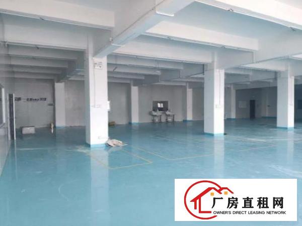  公明田寮新出楼上带装修厂房1200平米招租