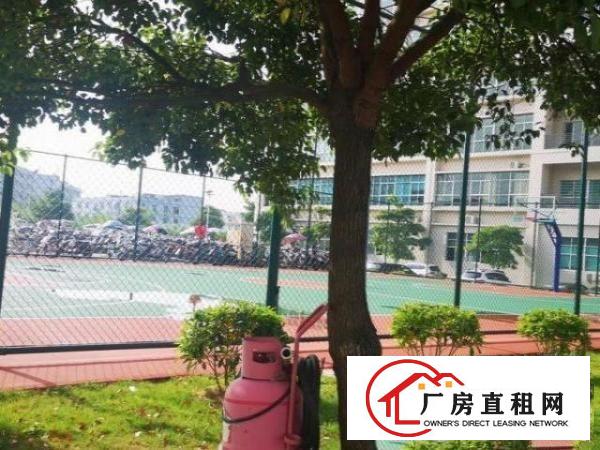  公明东坑980平米精装修厂房