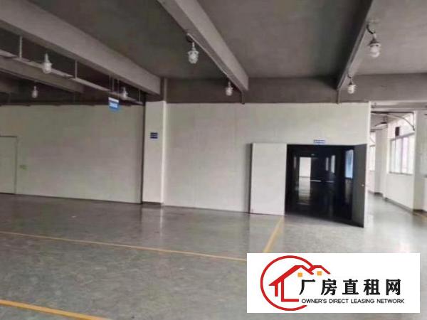 公明东坑980平米精装修厂房