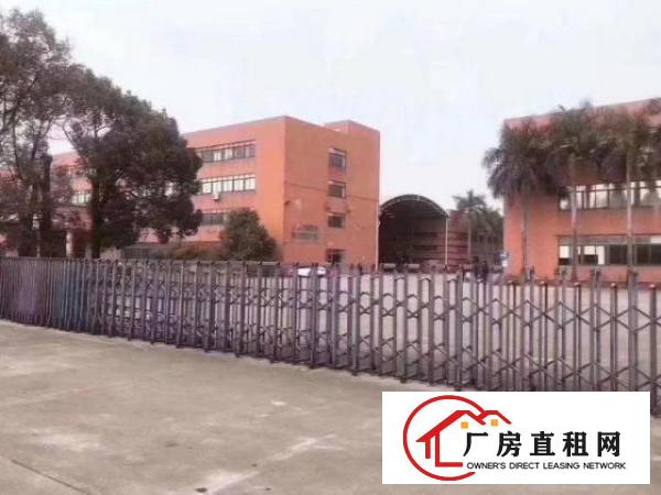  公明蒋石二楼850平精装修厂房出租