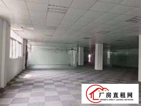  公明楼村独院三层5200平方厂房招租