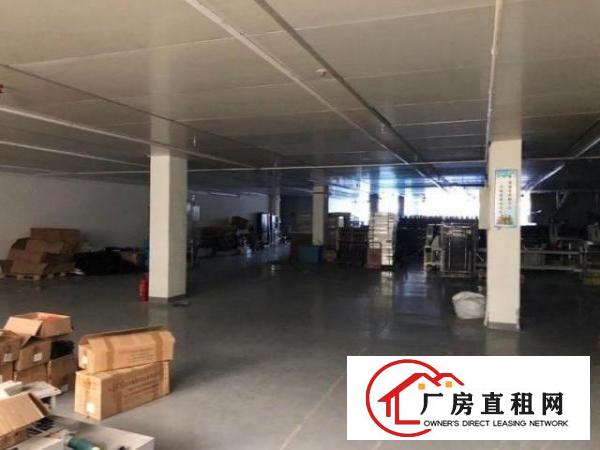  公明塘尾2600平米带精装修车间吊顶厂房出租