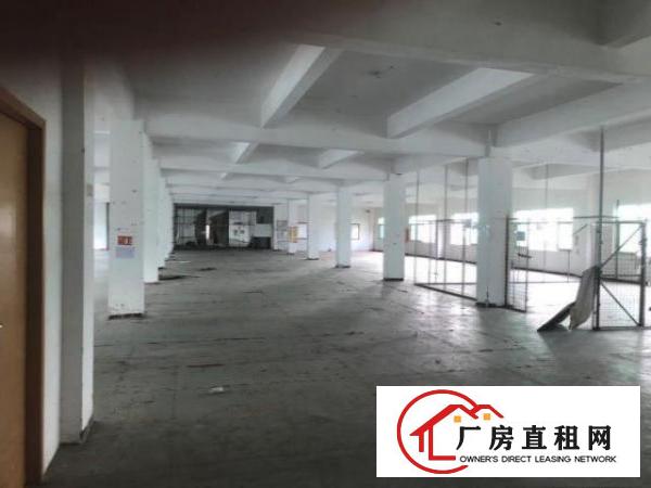  带装修的独院电梯厂房招租