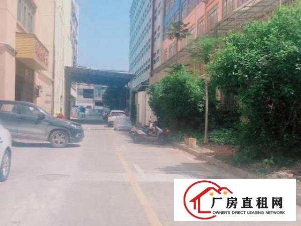  美景科技园8栋一楼厂房分租