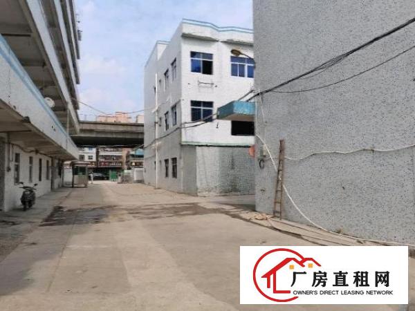 业主直招，可来电询问详细