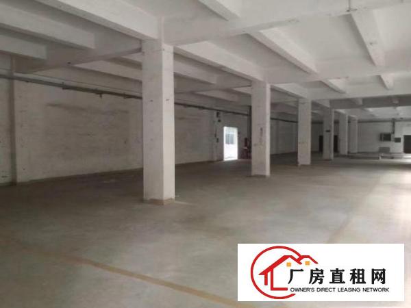  公明小独院3000平方米出租