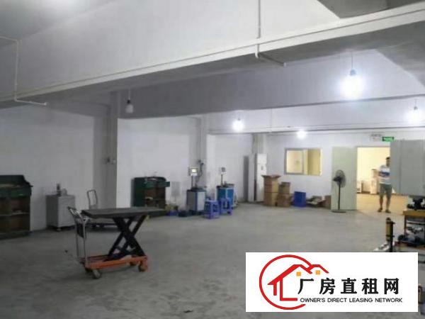  公明楼村一楼精装厂房800平可分租两家，全新吊顶地板砖