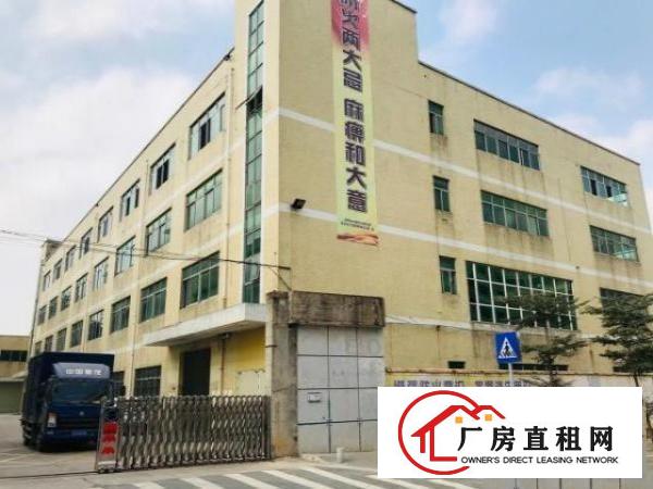  公明马山头原房东厂房.仓库.商业培训，场地出租