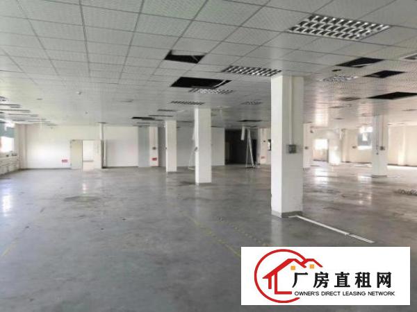  3层带红包独门独院6500平方