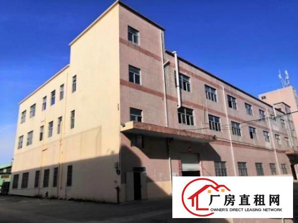  3层带红包独门独院6500平方