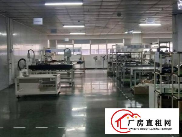  公明松白路原房东厂房2000平出租精装修